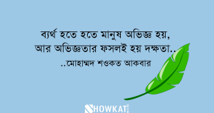 ব্যর্থতা