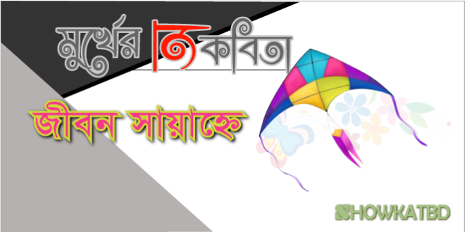 জীবন সায়াহ্নে