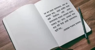 ভালোবাসার বাস্তবতা