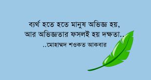 ব্যর্থতা