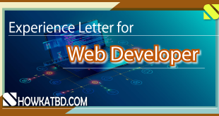 Web Developer Experience Letter