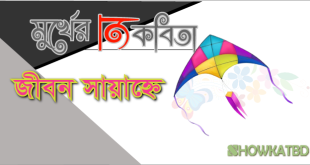 জীবন সায়াহ্নে